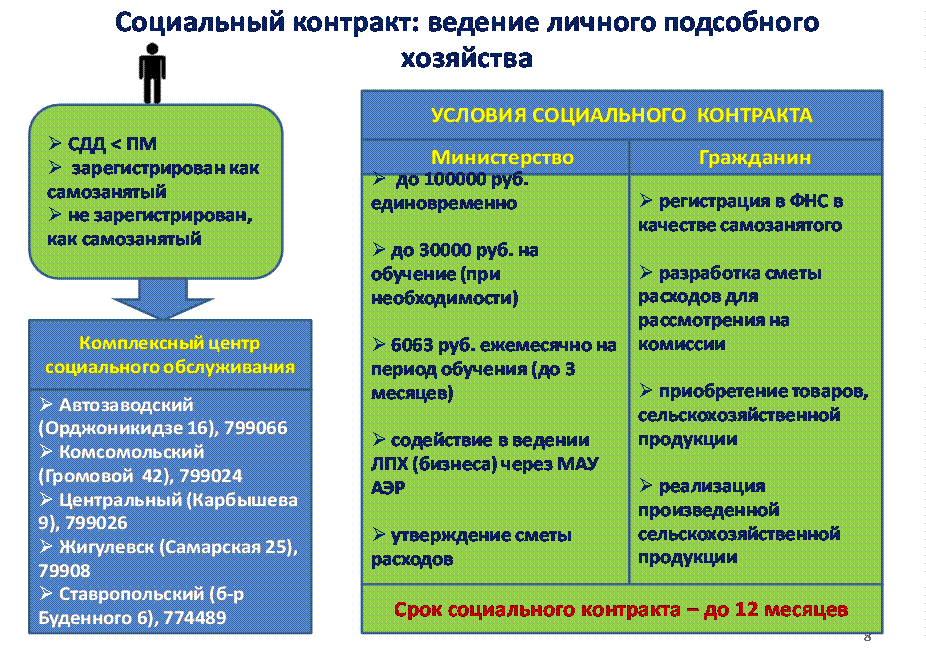 Бизнес план для социального контракта в социальную защиту на подсобное хозяйство птицеводство