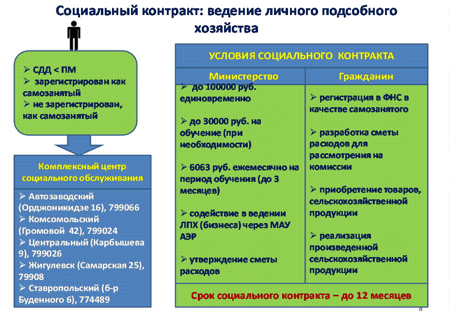 Какие есть социальные контракты. Социальный контракт ЛПХ. Социальный контракт поиск работы. Соц контракт на ЛПХ условия. Соц контракт ведение личного подсобного хозяйства.